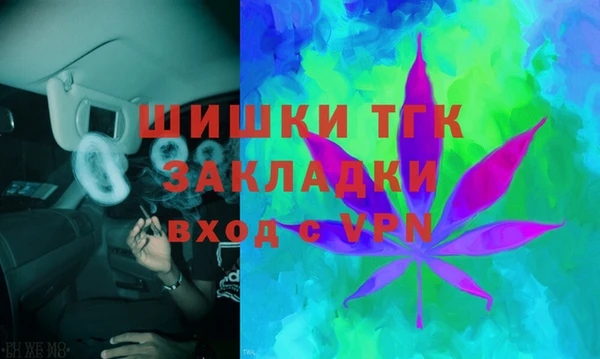 PSILOCYBIN Гусиноозёрск