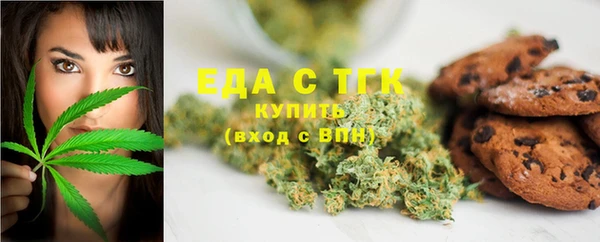 spice Гусев