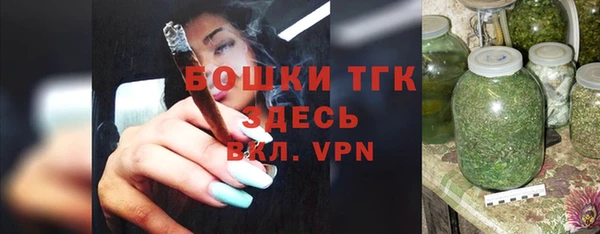 PSILOCYBIN Гусиноозёрск