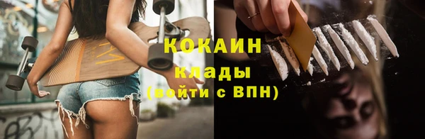 spice Гусев