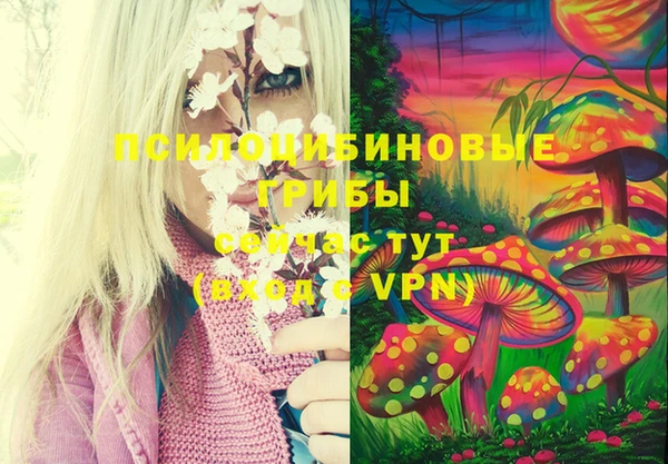 PSILOCYBIN Гусиноозёрск