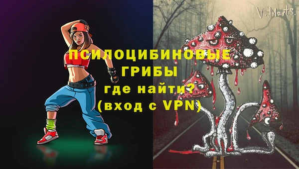 PSILOCYBIN Гусиноозёрск