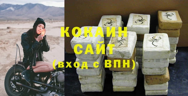 PSILOCYBIN Гусиноозёрск