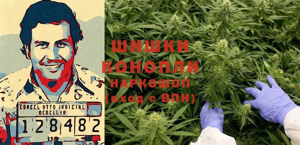 PSILOCYBIN Гусиноозёрск