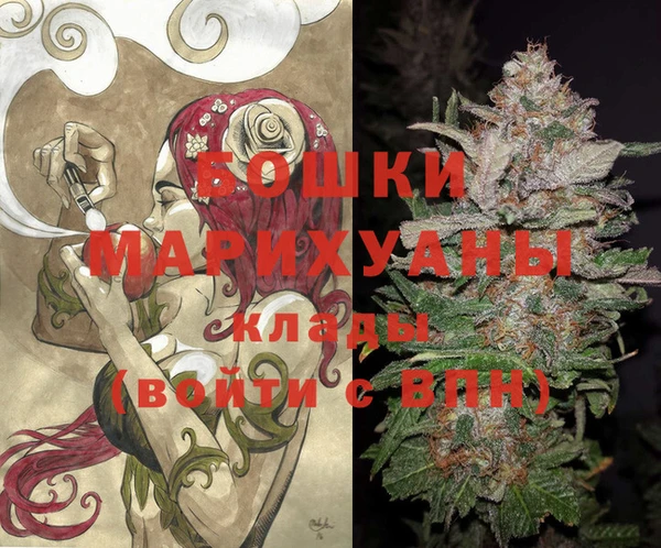 PSILOCYBIN Гусиноозёрск