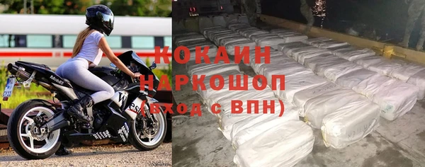 spice Гусев