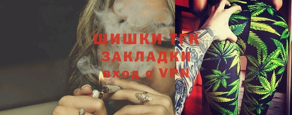 spice Гусев