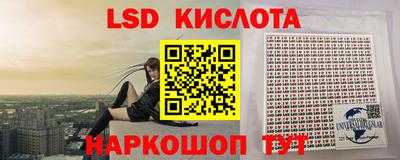 гашик Кингисепп