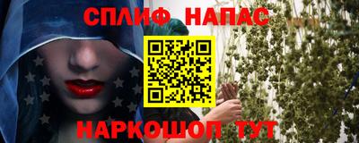 гашик Кингисепп