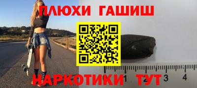 гашик Кингисепп