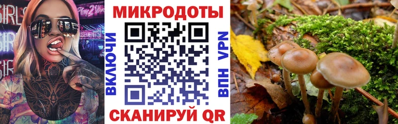Галлюциногенные грибы Cubensis  где купить наркотик  Отрадный 