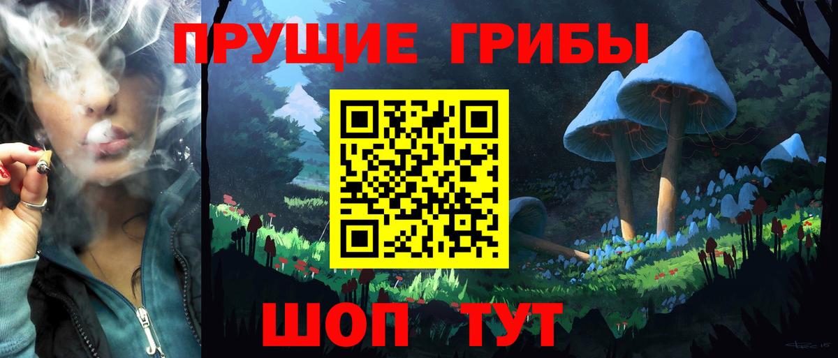 Галлюциногенные грибы Psilocybe  Вход с VPN  Отрадный 