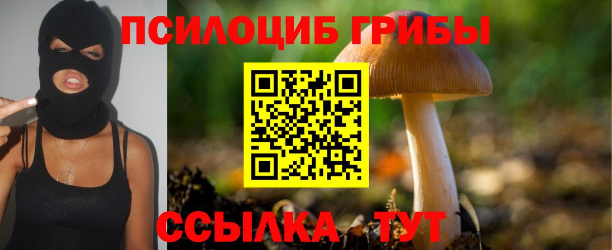 Псилоцибиновые грибы Cubensis Отрадный